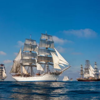 North Sea Tall Ships Regatta tar över Frihamnen. Foto: STI - Valery Vasilevskiy/Göteborg & Co